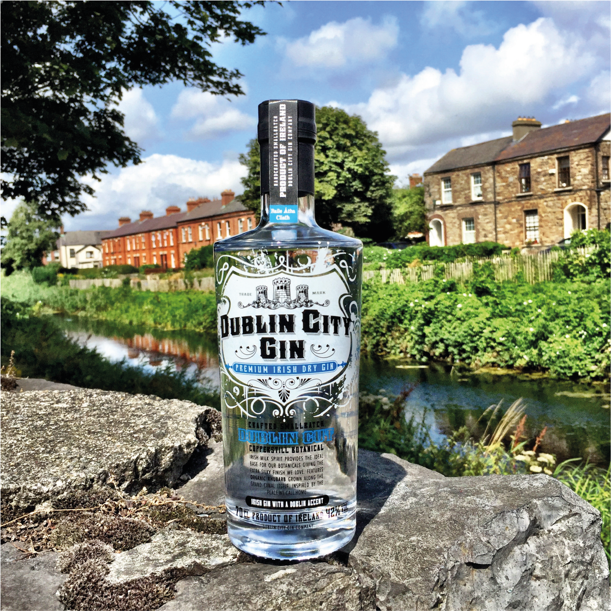 Dublin City Gin